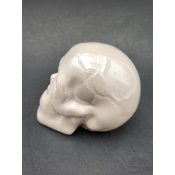 White Iridescent Glazed Ceramic Skull Skeleton Head Halloween Decor - Picture 3 of 6